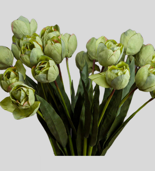 Green Tulip